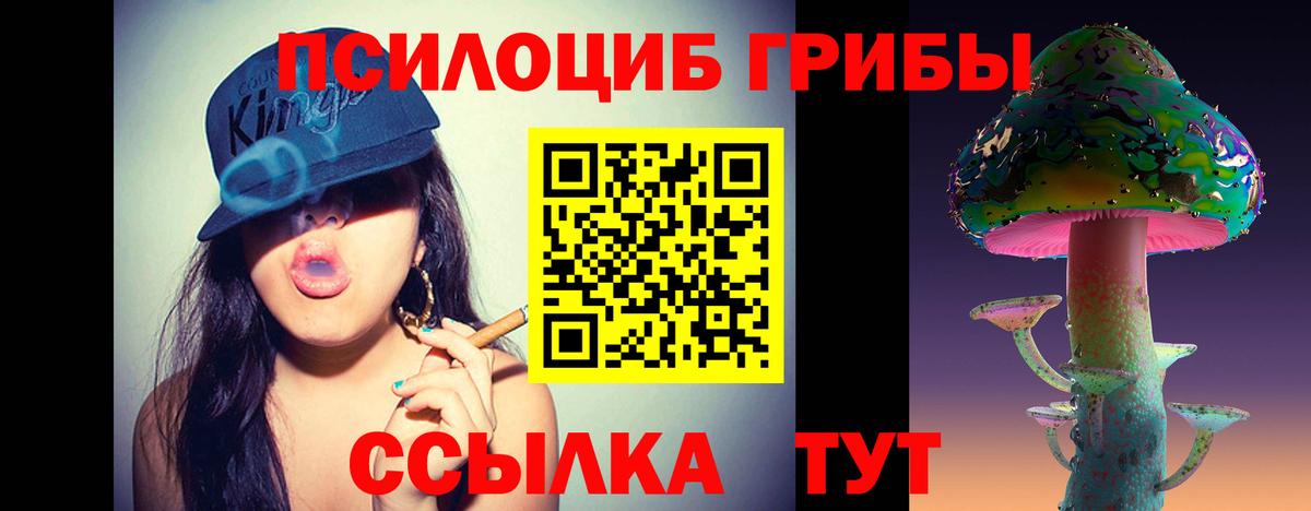 Галлюциногенные грибы Cubensis  Вход с VPN  Лабытнанги 